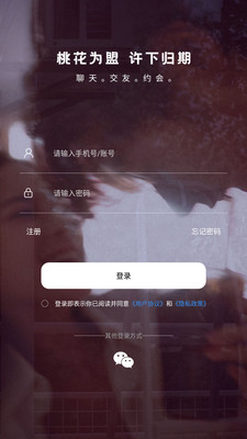 初见桃花截图2