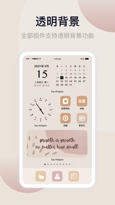 topwidgets截图1