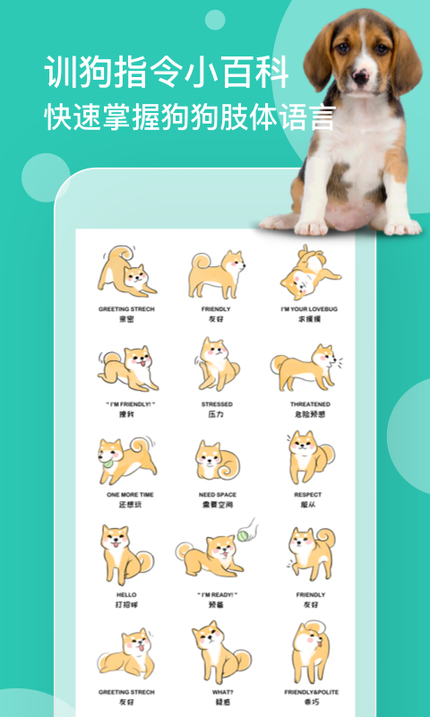 狗语翻译器截图3