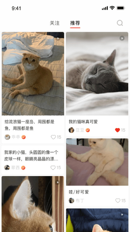 宠年年截图3