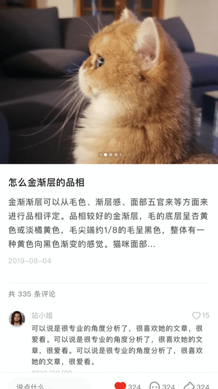宠年年截图2