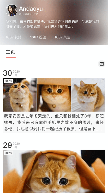 宠年年截图1
