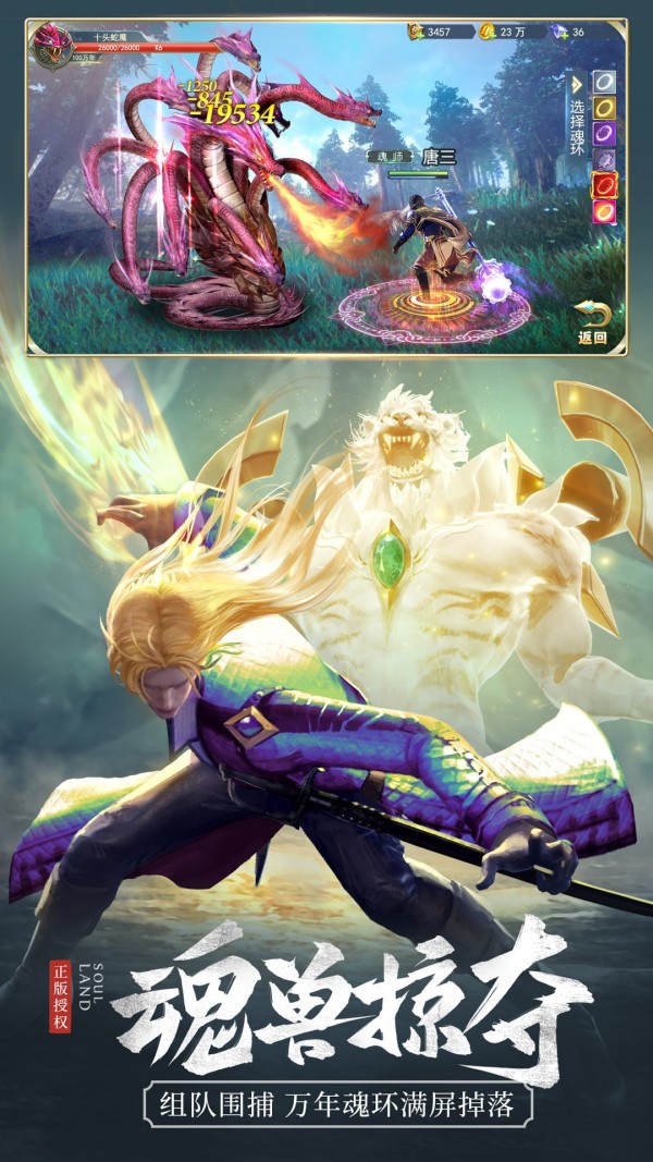 斗罗大陆h5截图2