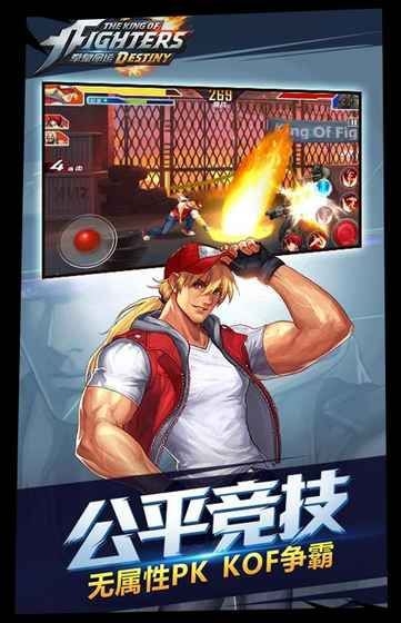 格斗全明星截图3