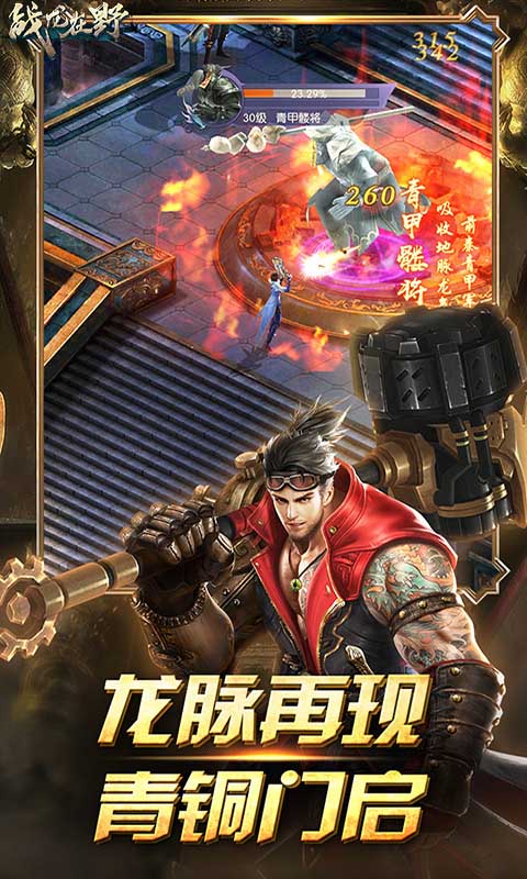 战龙在野截图3