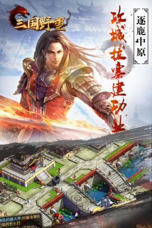 三国野望截图2