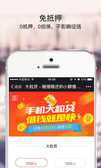 大粒贷截图3