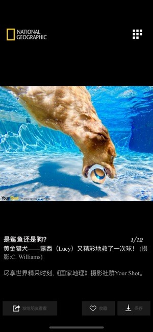 国家地理下载_国家地理ios版下载-0
