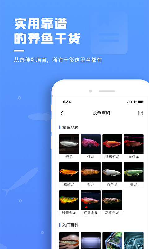 鲲天下截图1