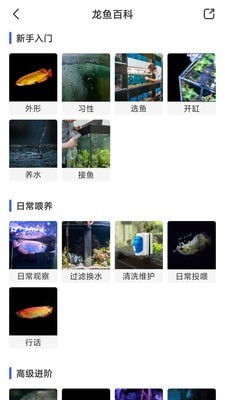 鲲天下截图3