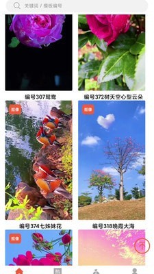左拍截图2