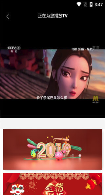 追剧猫-01