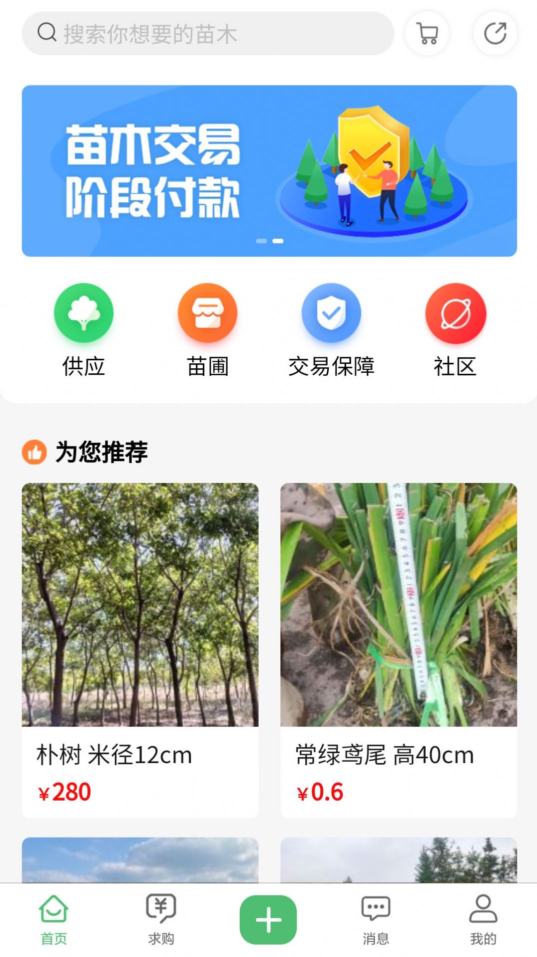 苗青青截图2