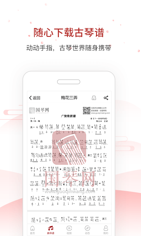 国琴网截图1
