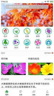 植物百科截图2