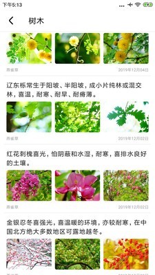 植物百科截图1