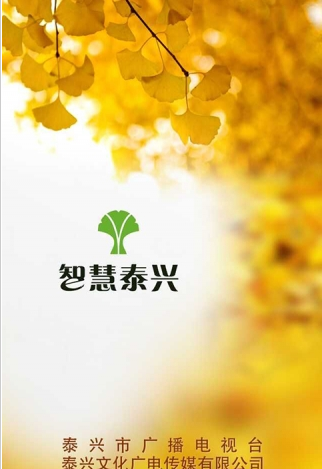 智慧泰兴