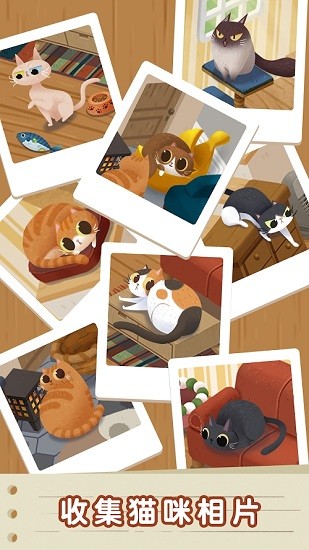 猫咪慵懒的日常截图1