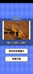 动物滑滑乐截图2