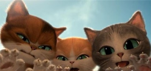 超可爱萌猫截图2