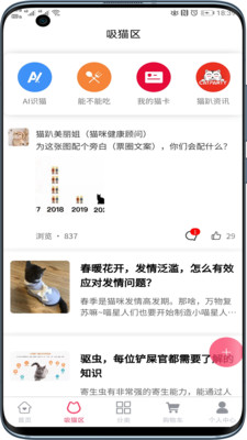 猫趴截图1