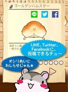 仓鼠屁屁截图3