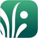 虹越app