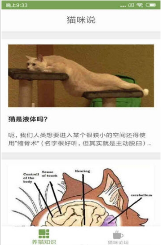 猫咪生活圈截图2