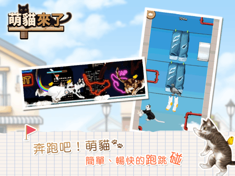 萌猫来了截图3