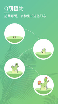 口袋植物专注截图2