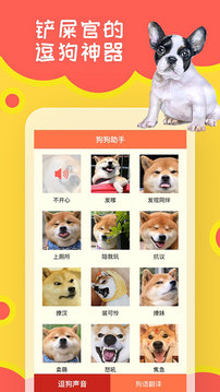 狗狗助手下载_狗狗助手官网版下载-1