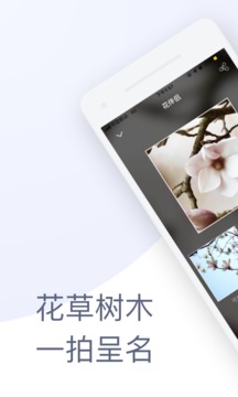 花伴侣截图3