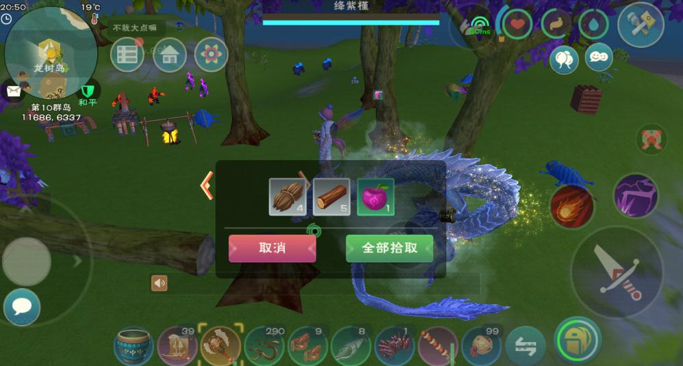 创造与魔法混战服选什么宠物