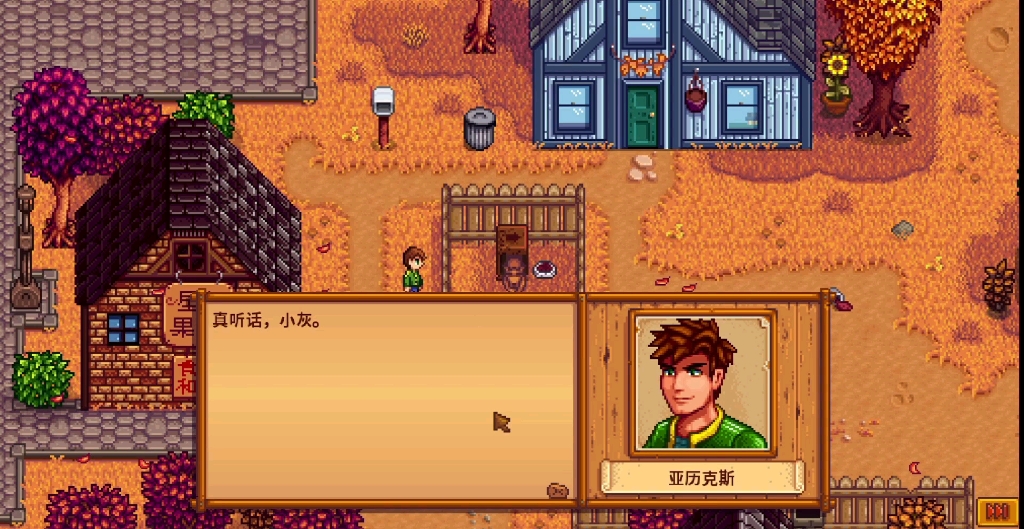 星露谷物语第九颗心怎么解锁
