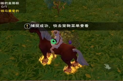 创造与魔法鳞甲海龟怎么获得 创造与魔法鳞甲海龟怎么获得
