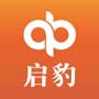 启豹