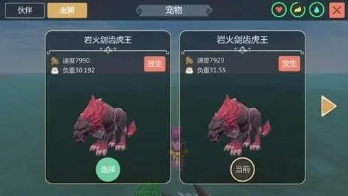 创造与魔法橡胶树分布在哪里