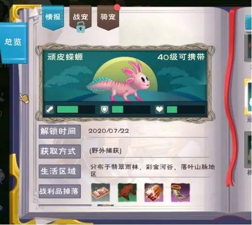 创造与魔法小顽皮蝾螈极品资质是多少