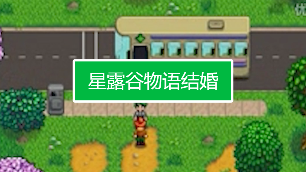 星露谷物语联机如何结婚