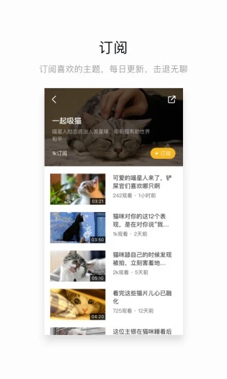 网易菠萝截图3