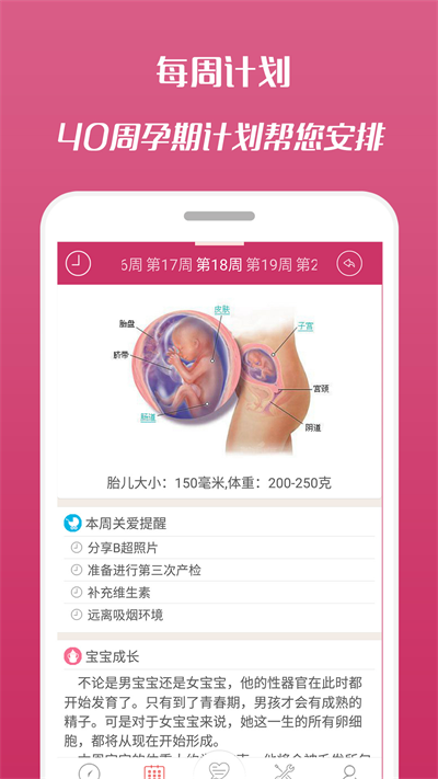孕期记录