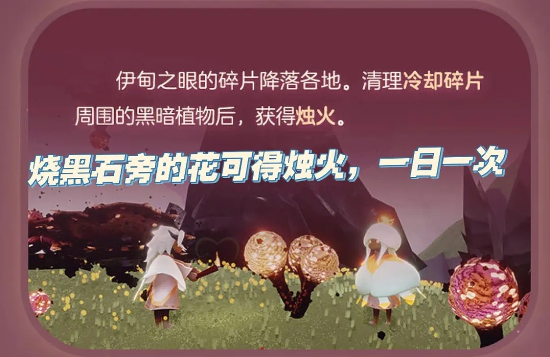 光遇大植株怎么烧