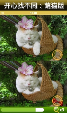 开心找不同萌猫版截图2
