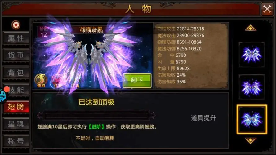 全民奇迹魔剑士怎么用