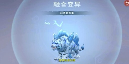创造与魔法稿子用什么附魔石附魔