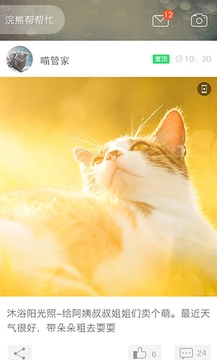 猫咪帮下载_猫咪帮官网版下载-2