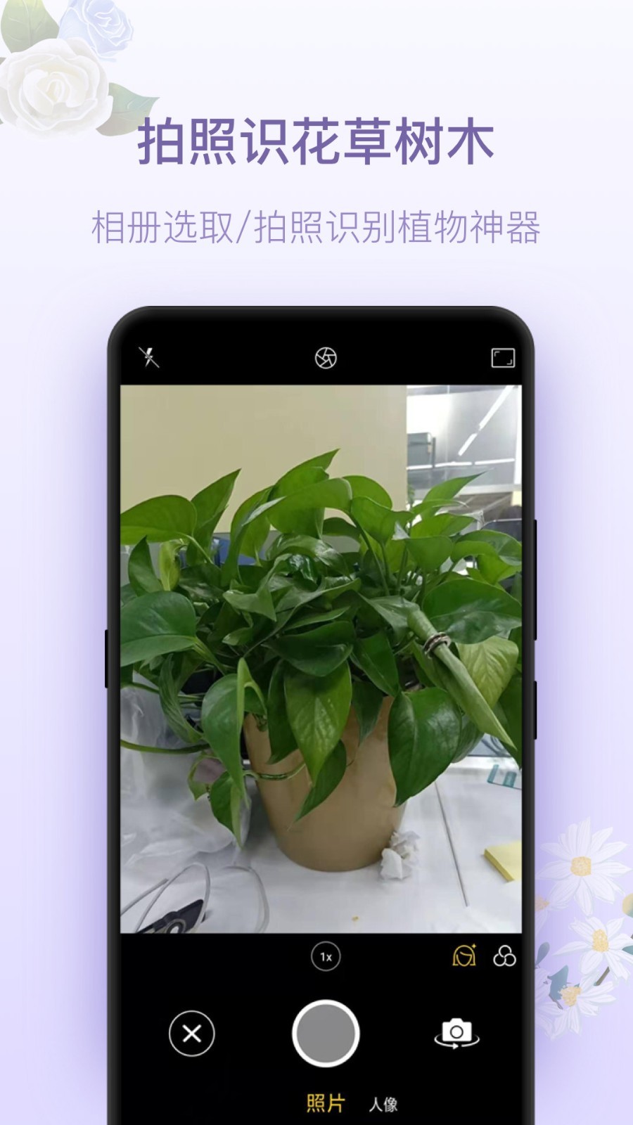 拍照识花截图3