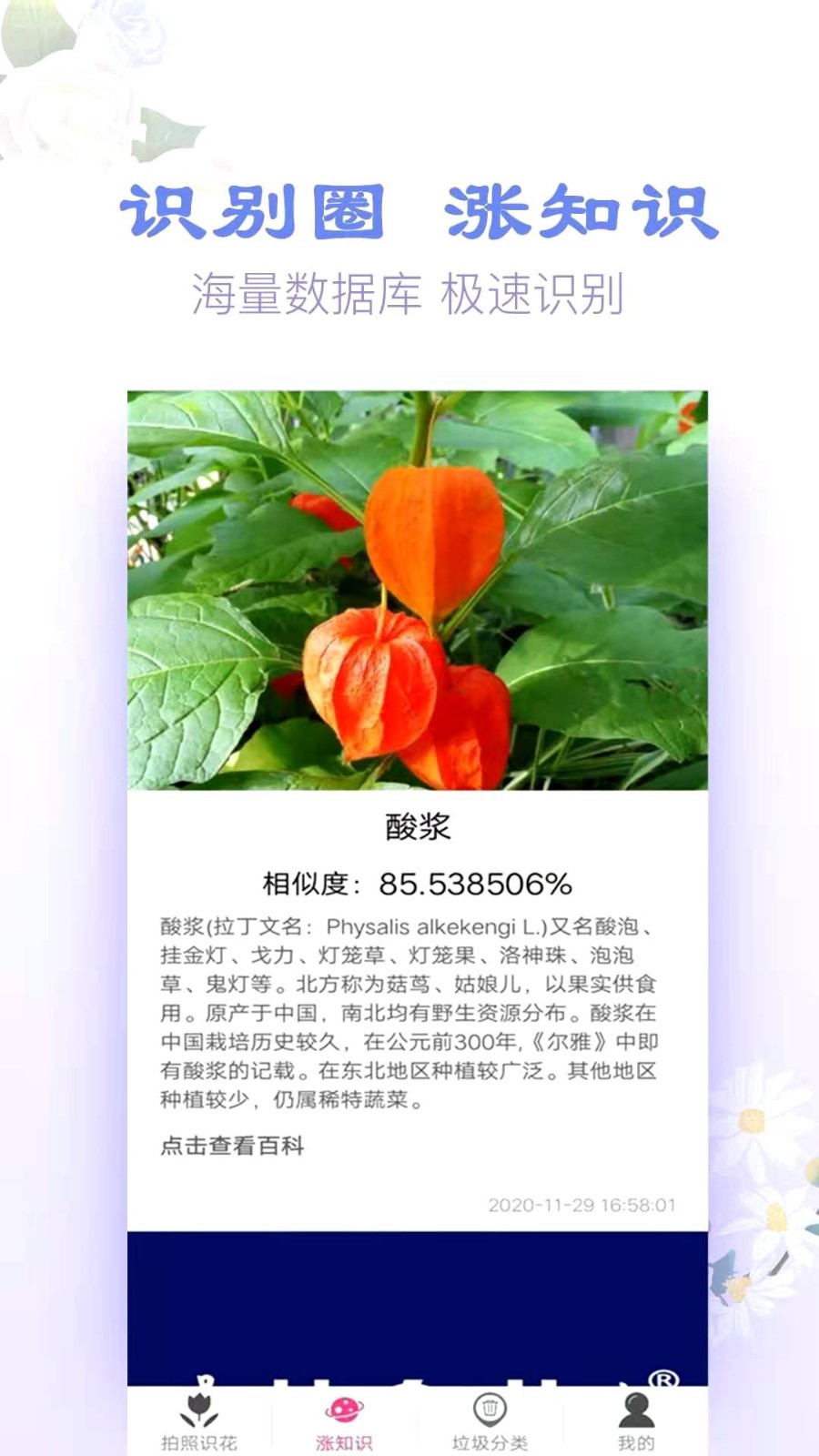 拍照识花截图2