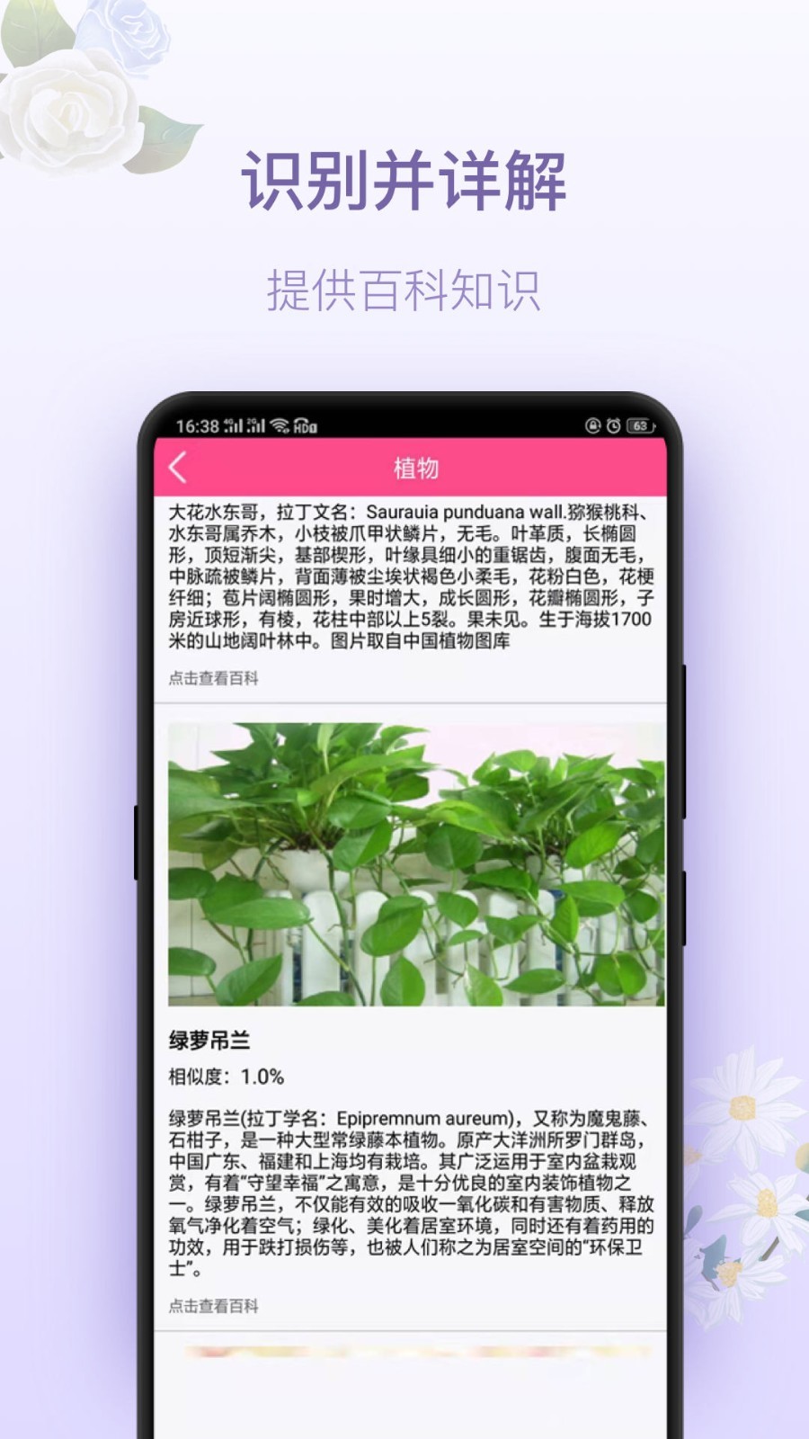 拍照识花截图1