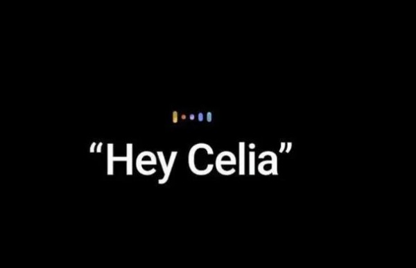 celia语音助手截图2